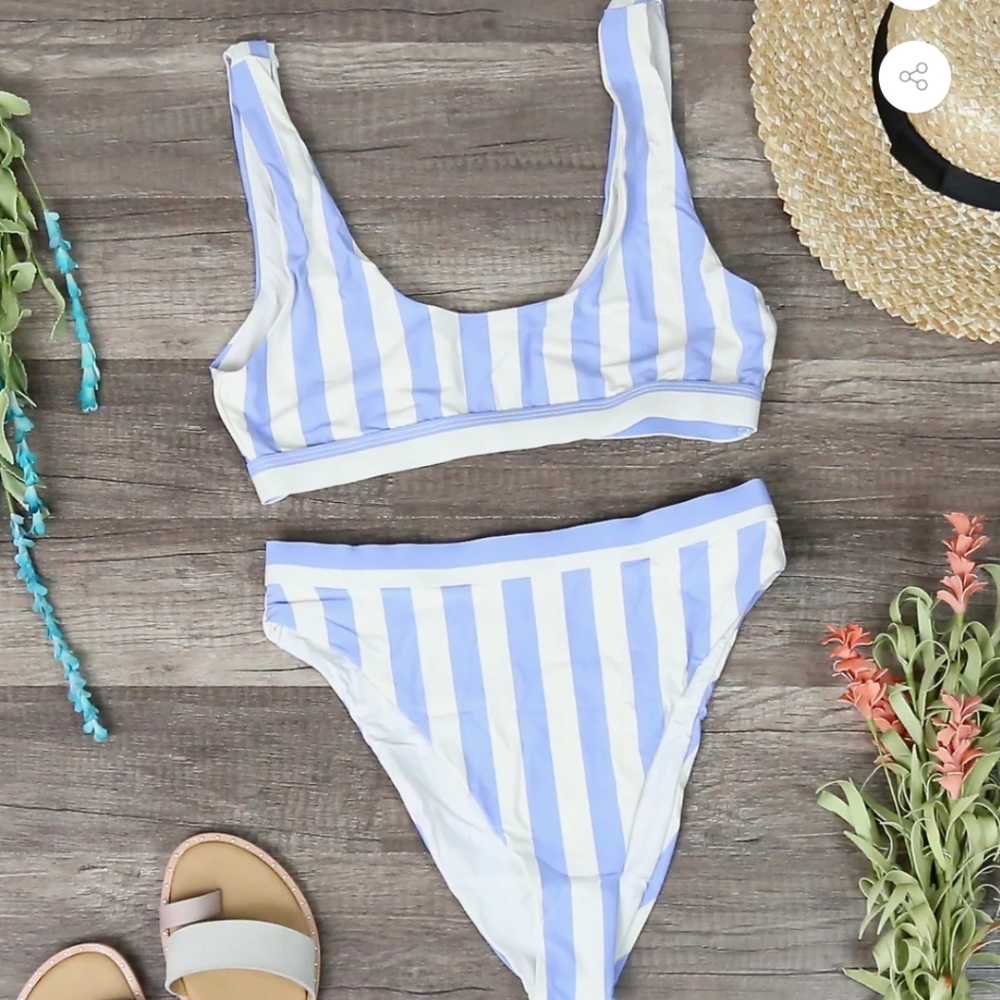 Dippin' Daisy's Blue and White Striped Bikini